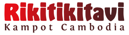 rikitikitavi_logo_horizontal